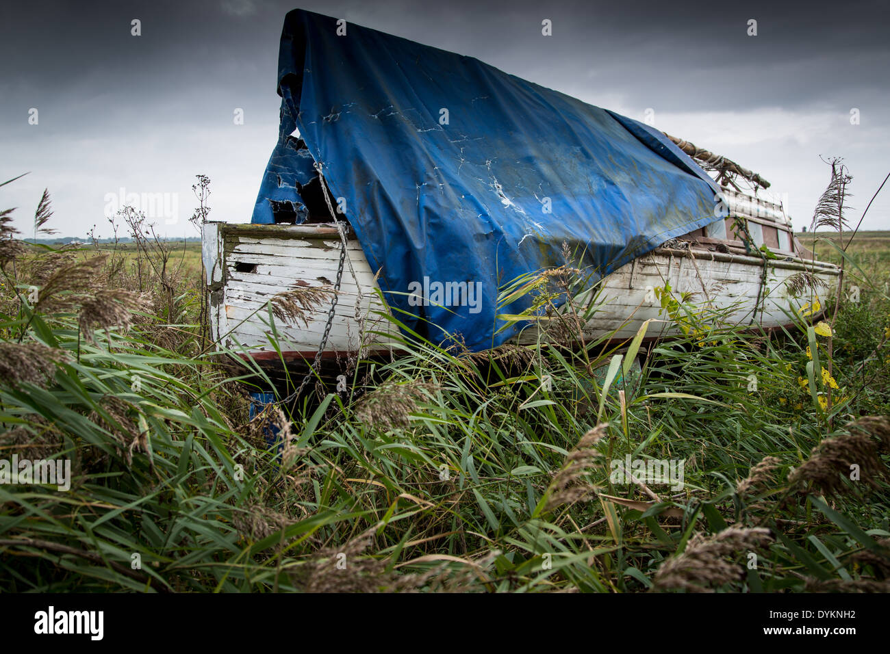 Decaying Norfolk Broads sailing cruiser in reeds Stock Photo
