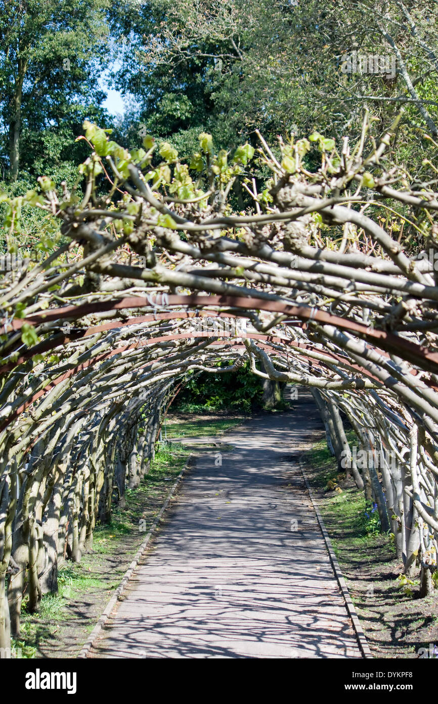Arched pergola type structure in the grounds near the Priory in Christchurch,Dorset. Stock Photo