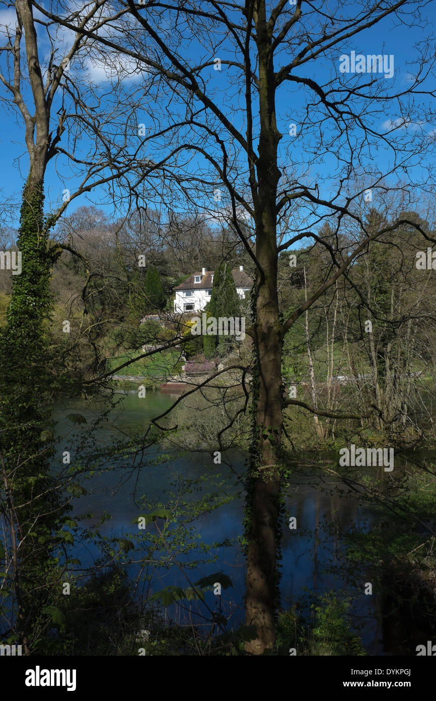 Hidden life of trees hires stock photography and images Alamy