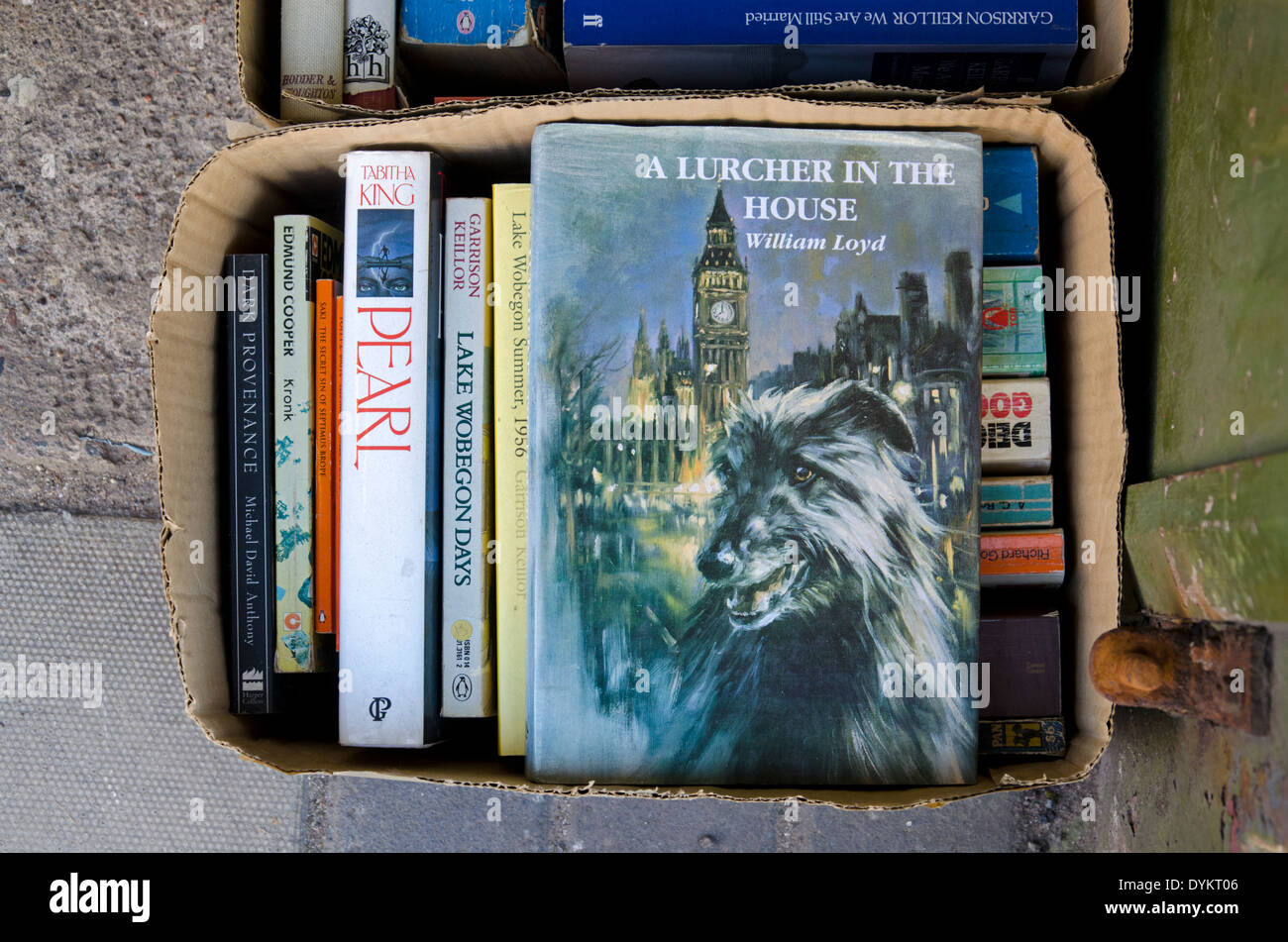 'A Lurcher in the House' by William Loyd in a box of books outside a secondhand bookshop in Edinburgh. Stock Photo