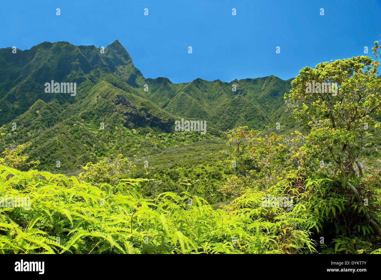 Iao Valley State Park on Maui Hawaii Stock Photo