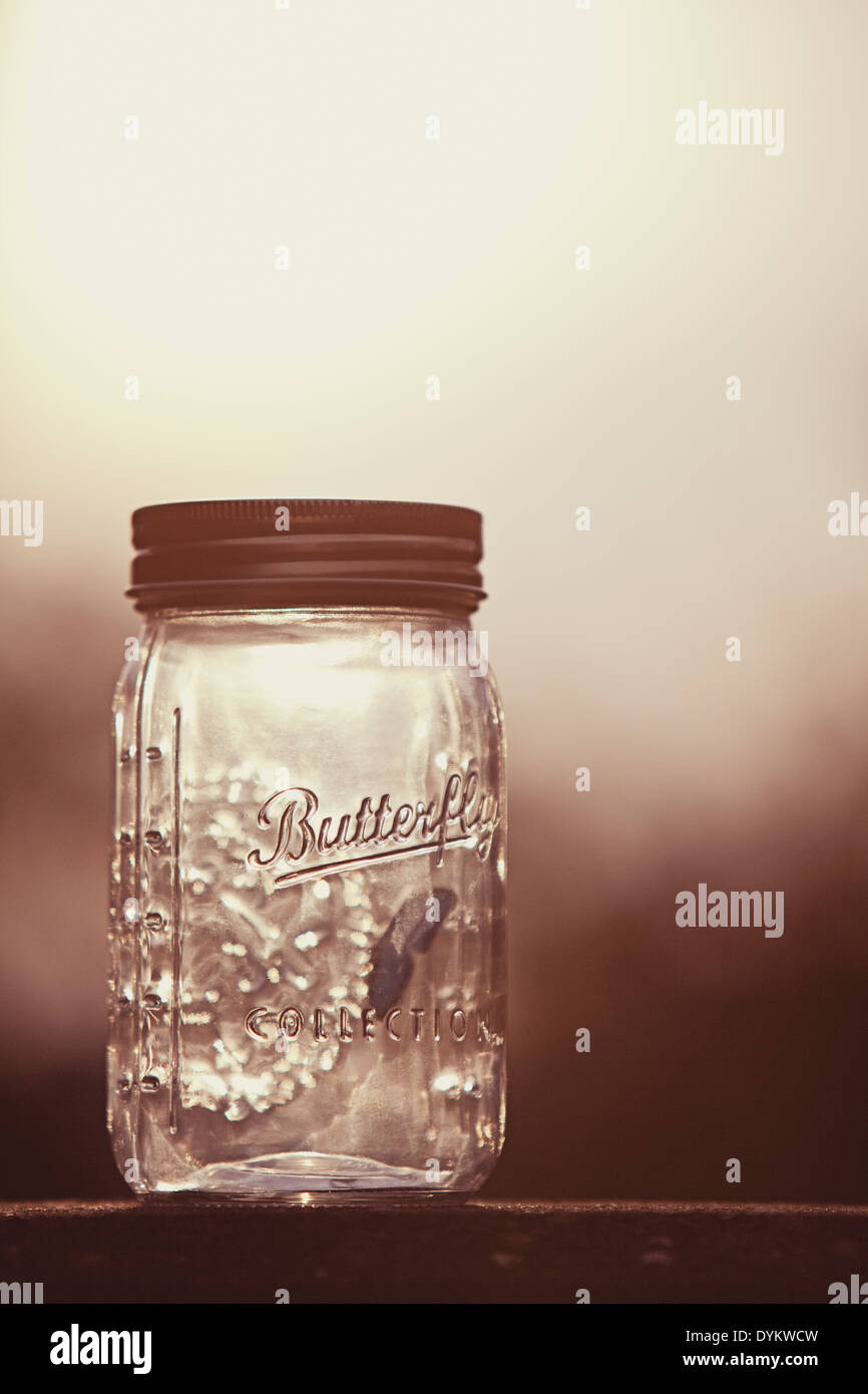 Glass mason jar standing on a wall with the word 'Butterfly' on the jar and with a novelty blue butterfly inside. Stock Photo