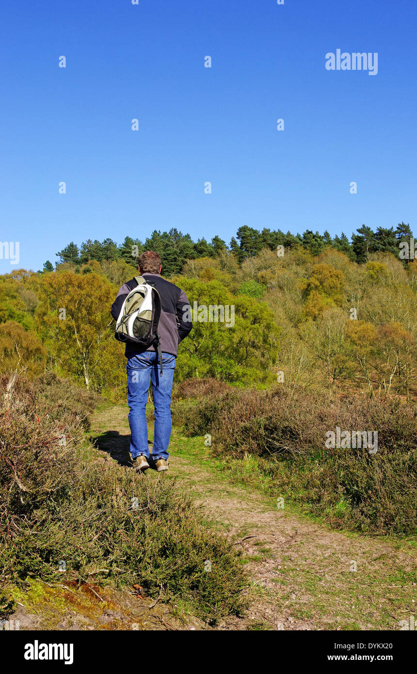 Kingsford hires stock photography and images Alamy