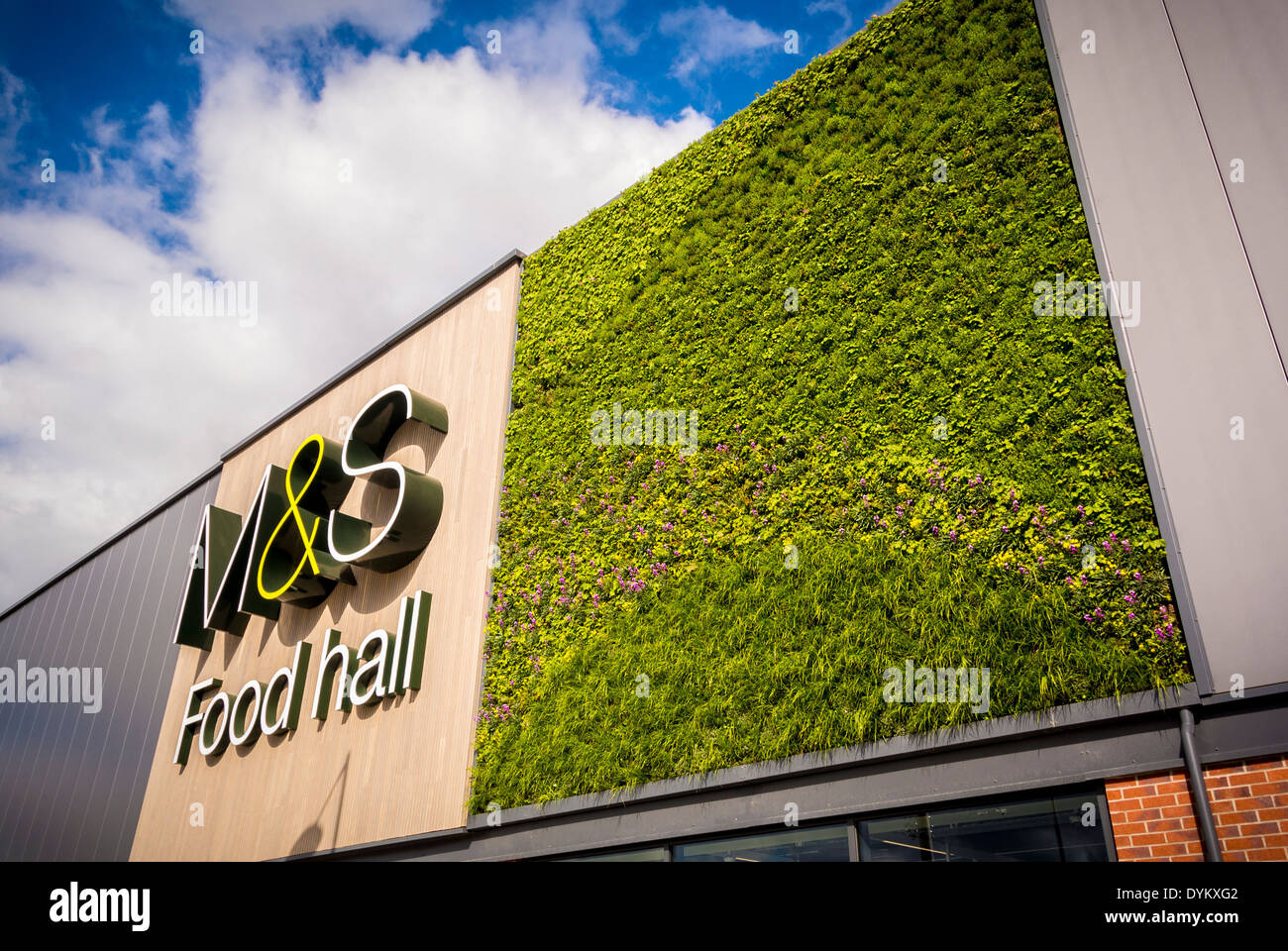 Marks And Spencer Food Hall sign with Green Living Wall Stock Photo
