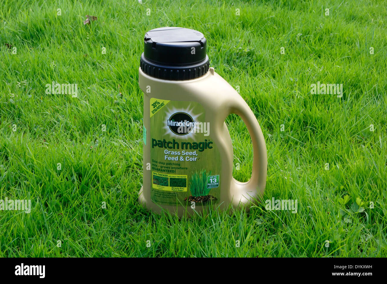 Miracle gro patch magic outlet