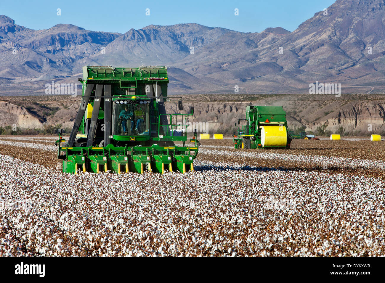 7760 John Deere Cotton Picker harvesting field Stock Photo Alamy