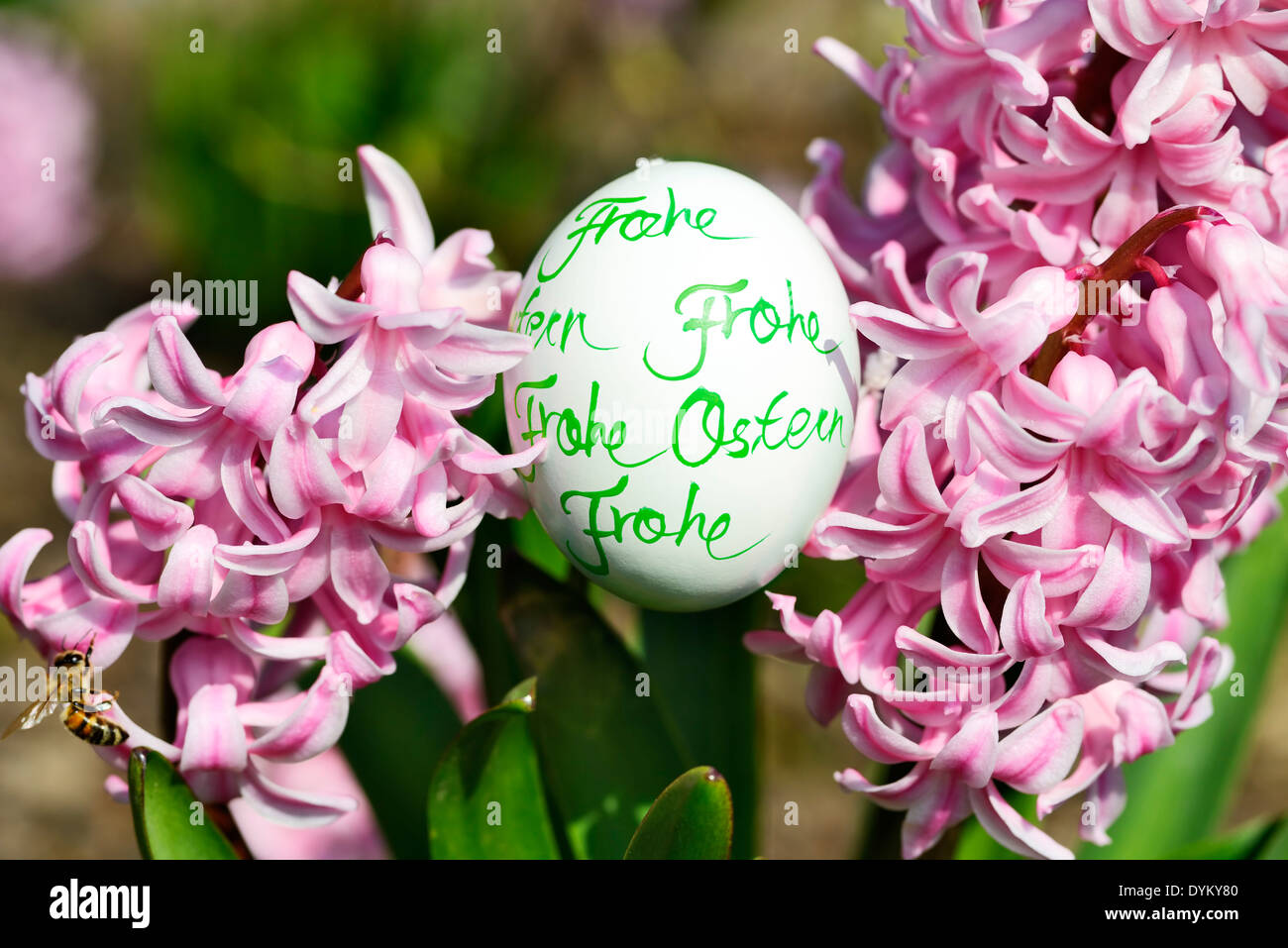 Osterei mit Aufschrift Frohe Ostern Stock Photo