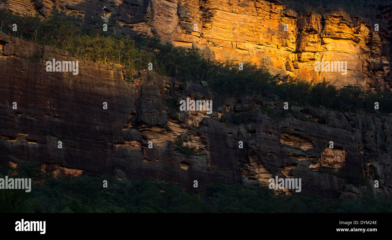 Sandstone escarpment in warm evening sunlight, Wollemi National Park, NSW, Australia Stock Photo