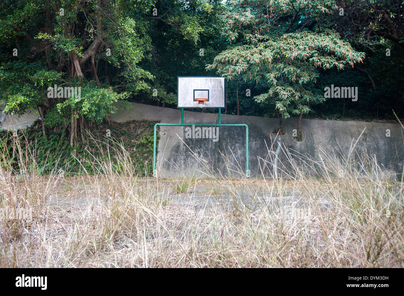 Overgrown basketball court Hong Kong Stock Photo Alamy Overgrown basketball court Hong Kong Stock Photo Alamy