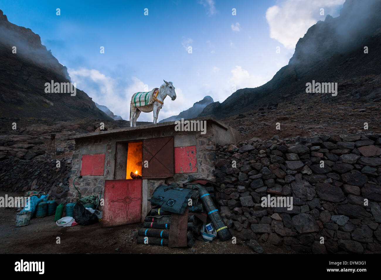 A donkey on a roof at Atlas mountains in Morocco, Africa Stock Photo
