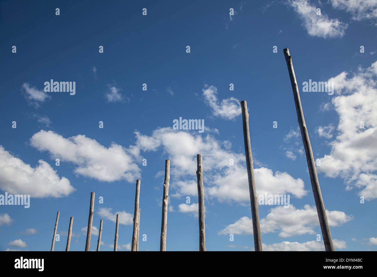 A series of timber poles against a blue sky that resembles a graph Stock Photo
