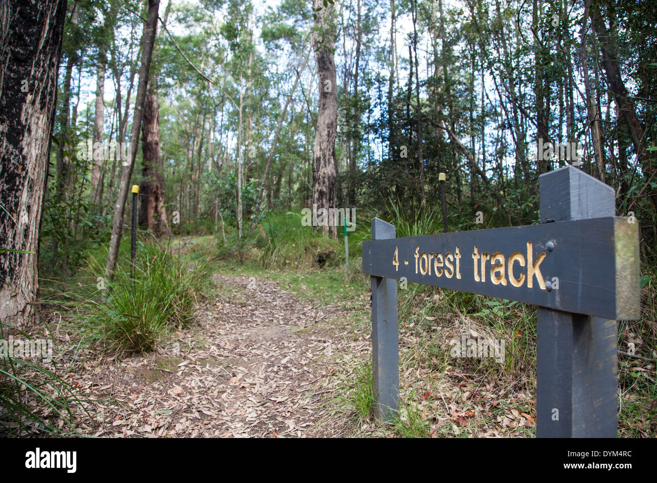 A signpost showing a forest track in a nature reserve in Australia Stock Photo