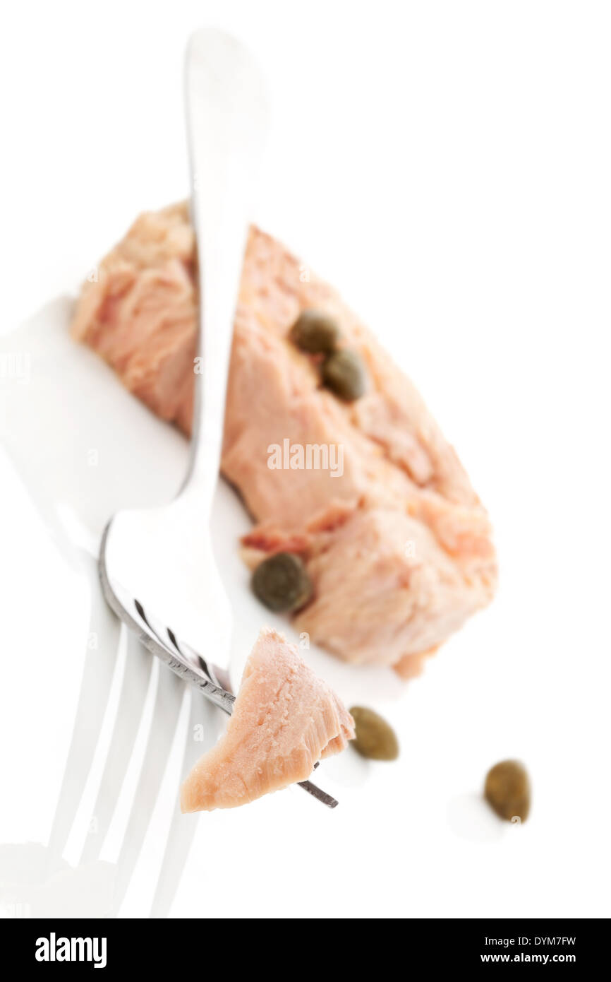 Tuna piece on fork and canned tuna steak with capers isolated on white