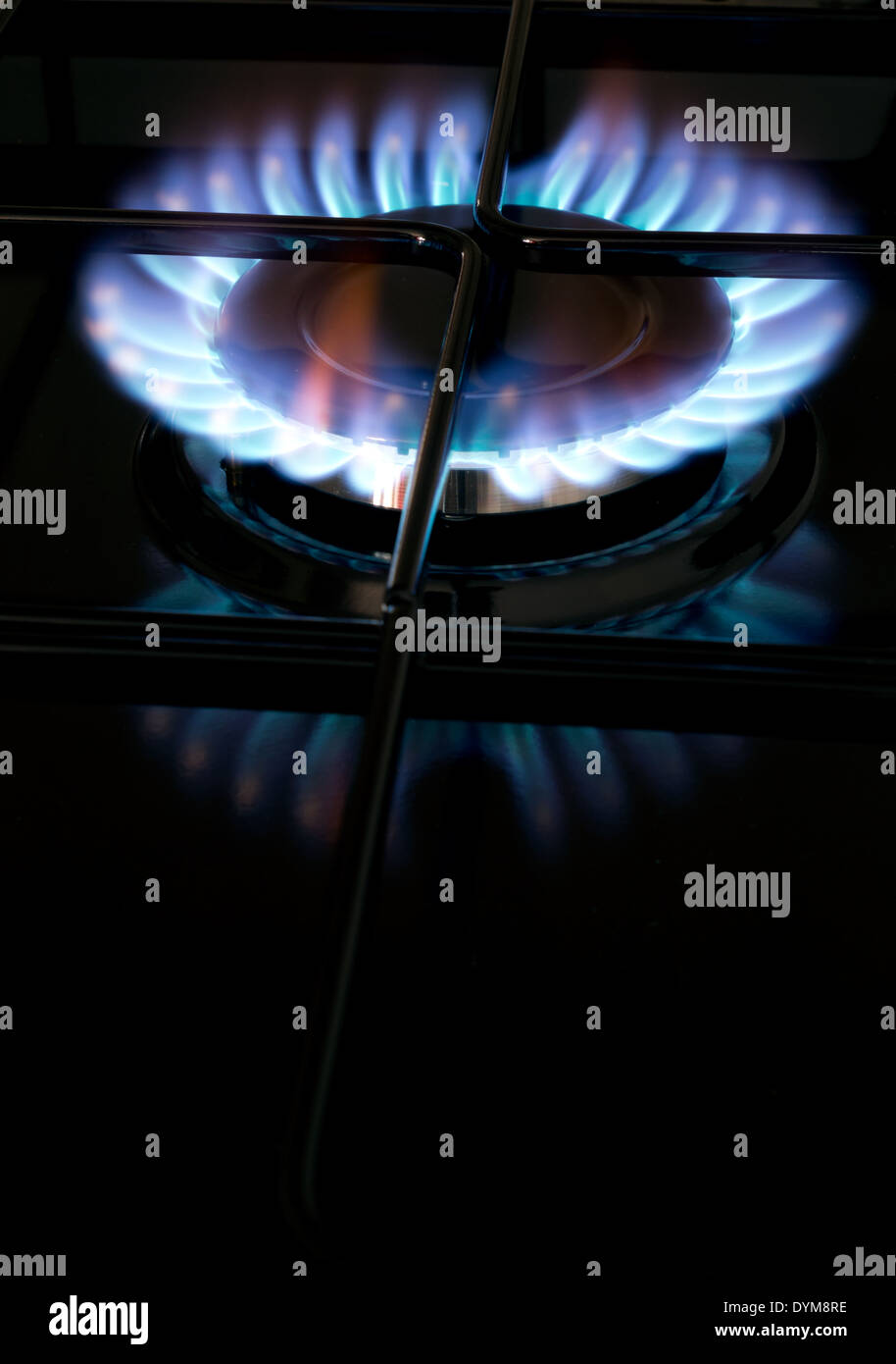 Domestic gas burner, hob Stock Photo