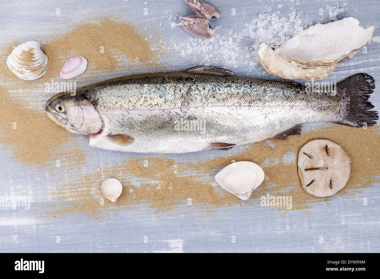 Culinary seafood eating. Fresh trout on blue wooden background with sand, sea salt and seashell. Stock Photo