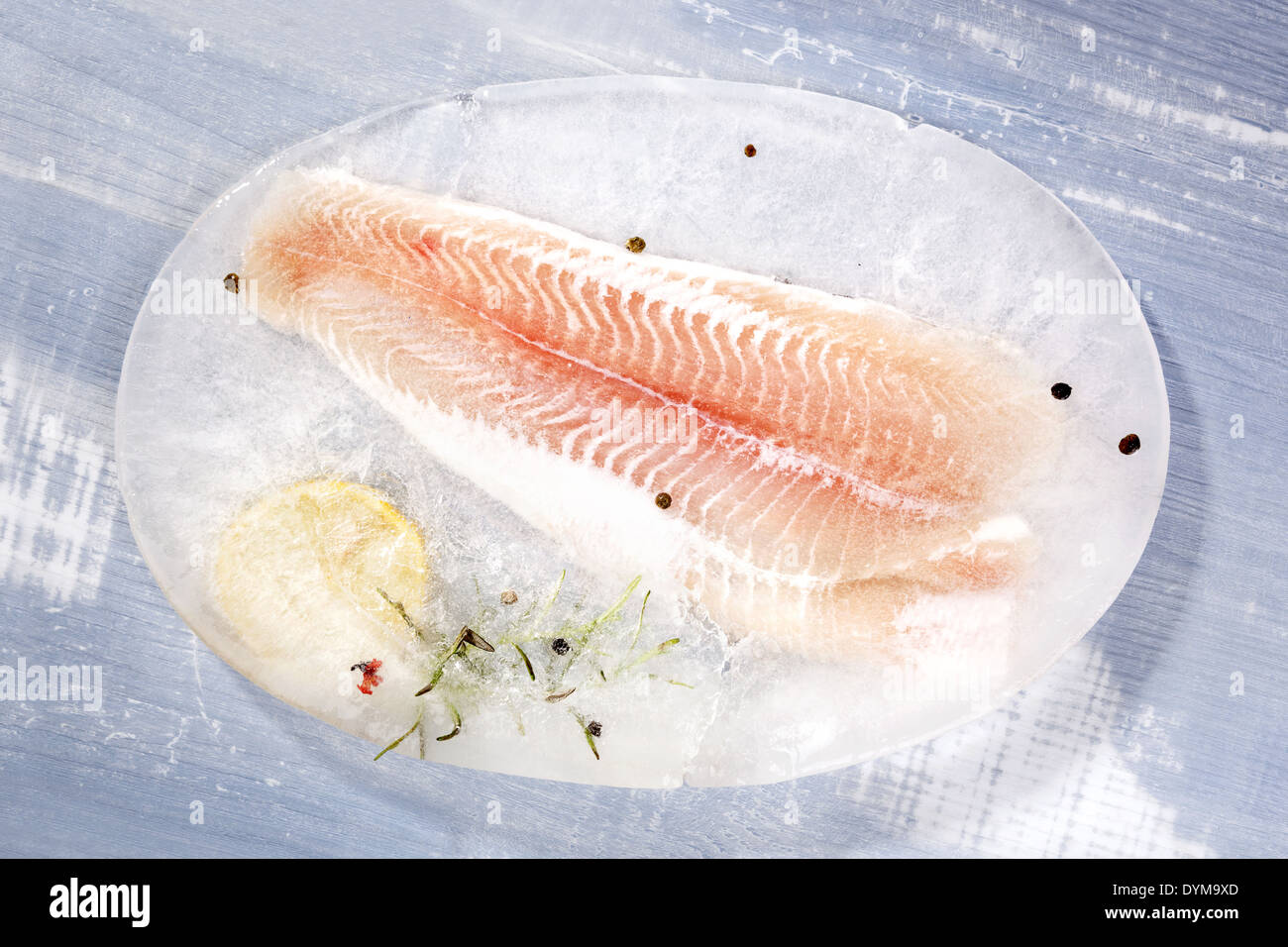 Frozen pangasius fillet with fresh rosemary, lemon and peppercorns on blue wooden background. Culinary seafood eating. Stock Photo
