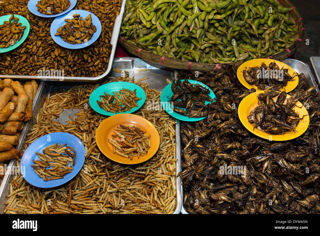 Grilled silkworms and fried crickets, Thai specialties at the Night Market in Walking Street, Chiang Rai, Chiang Rai Province Stock Photo