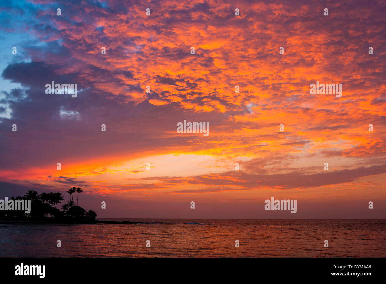 Sunset on the Kohala Coast, Big Island, Hawaii, USA Stock Photo