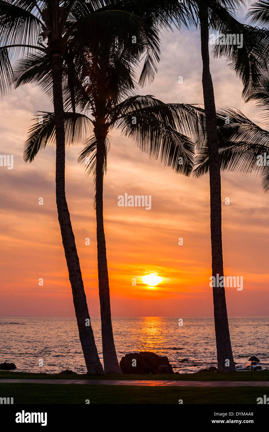Sunset on the beach, Kohala Coast, Big Island, Hawaii, USA Stock Photo