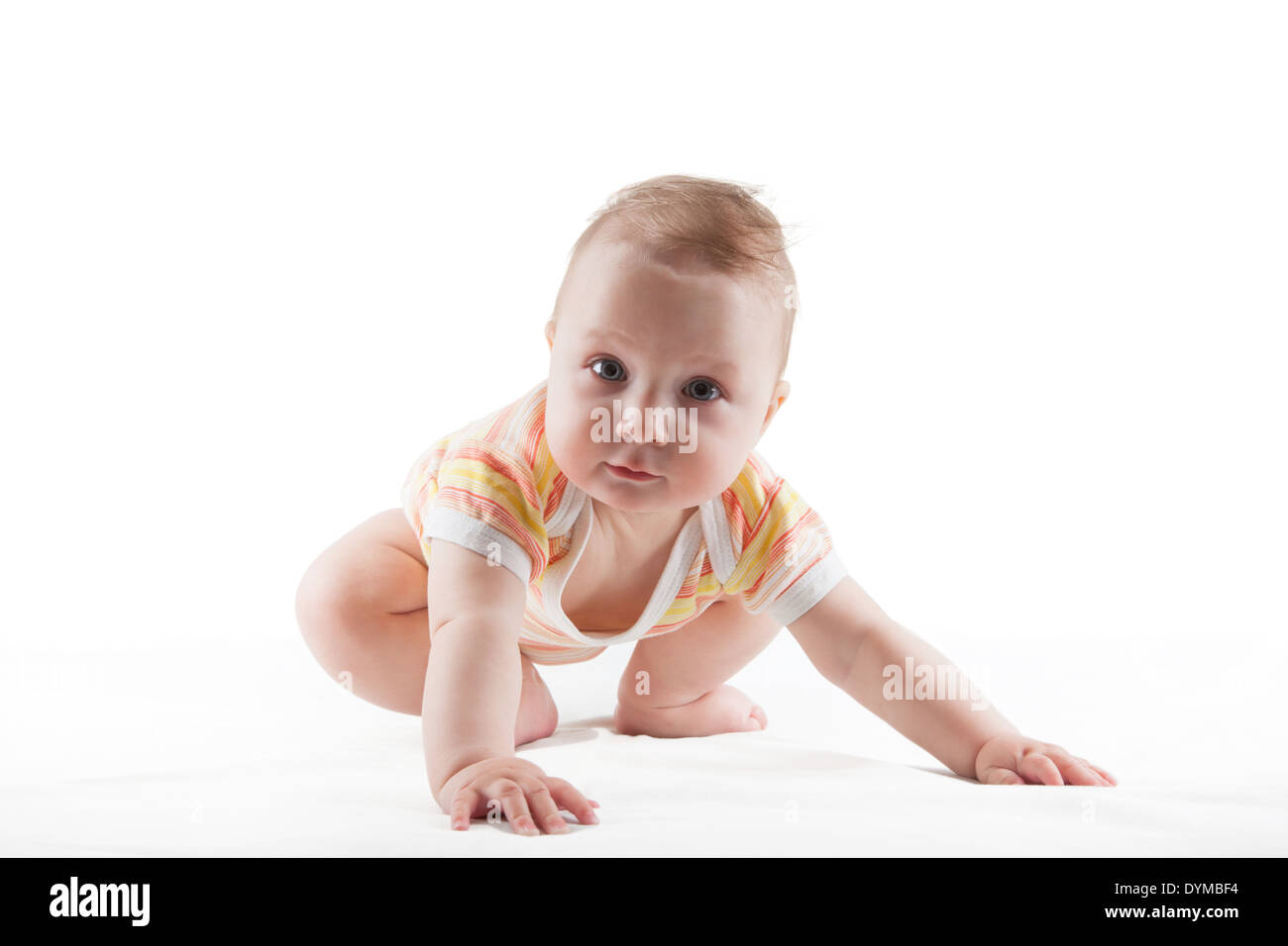 Close-up shot of a cute baby girl crawling isolated on white background ...