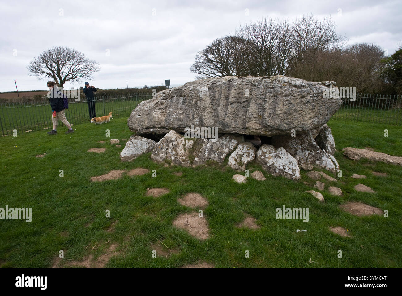Neolithic burial chamber at Lligwy near Moelfre on Anglesey North Wales UK Stock Photo