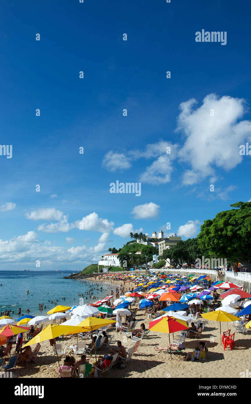 Porto da Barra beach Salvador Bahia Brazil summer afternoon with bright colorful beach umbrellas Stock Photo