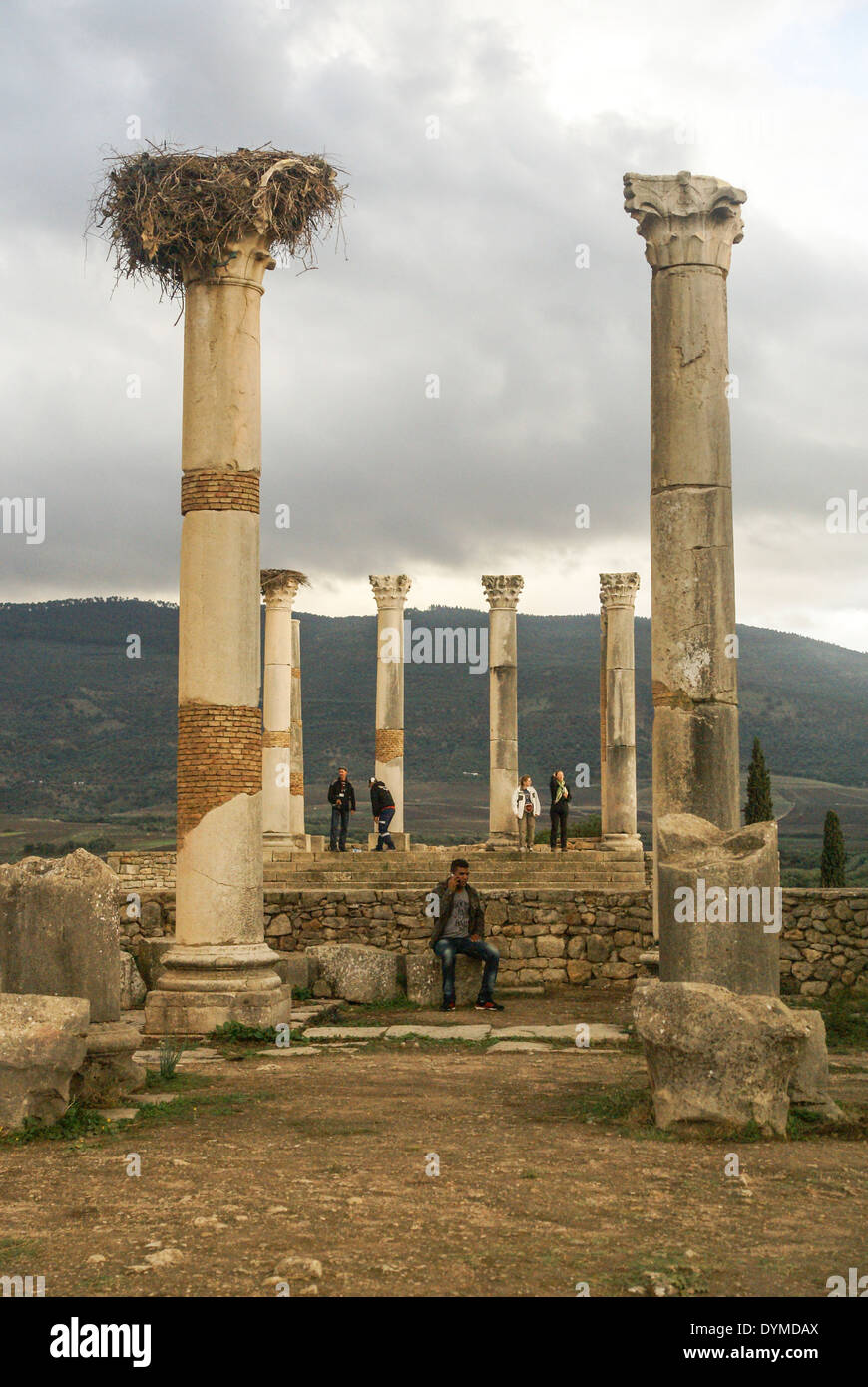 Morocco, Roman Ruins at the Volubilis Archeological Site Stock Photo