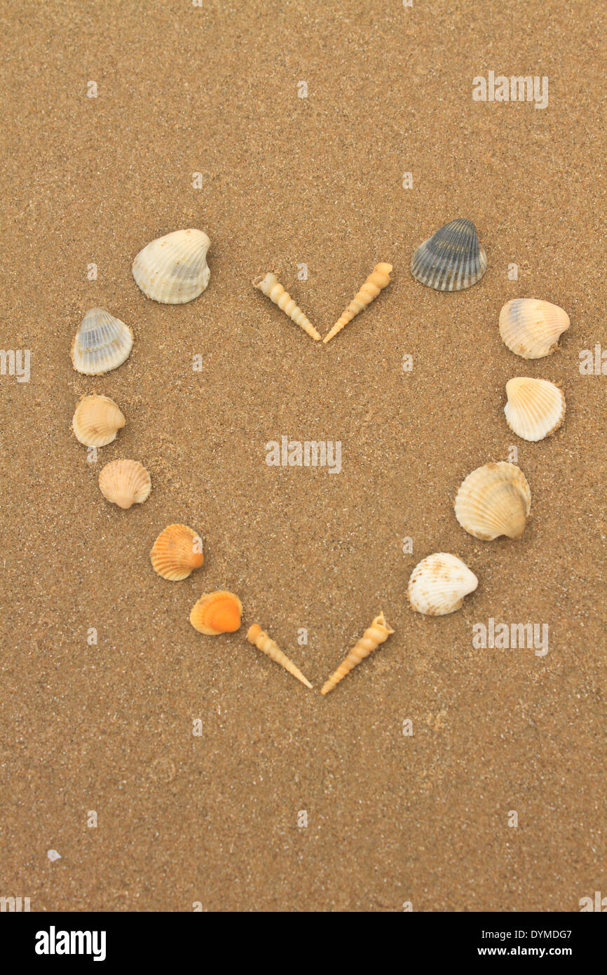 love heart made of shells on beach background concept image Stock Photo ...