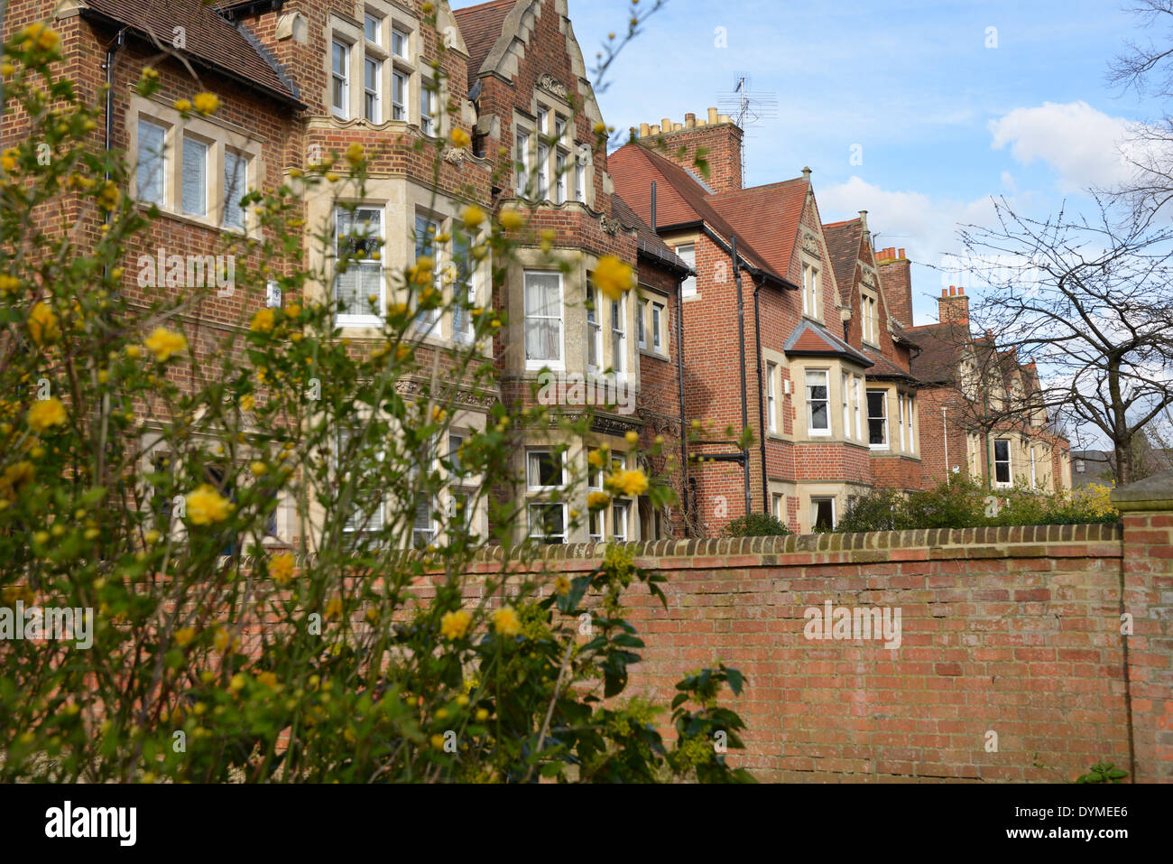 Houses in North Oxford Stock Photo Alamy