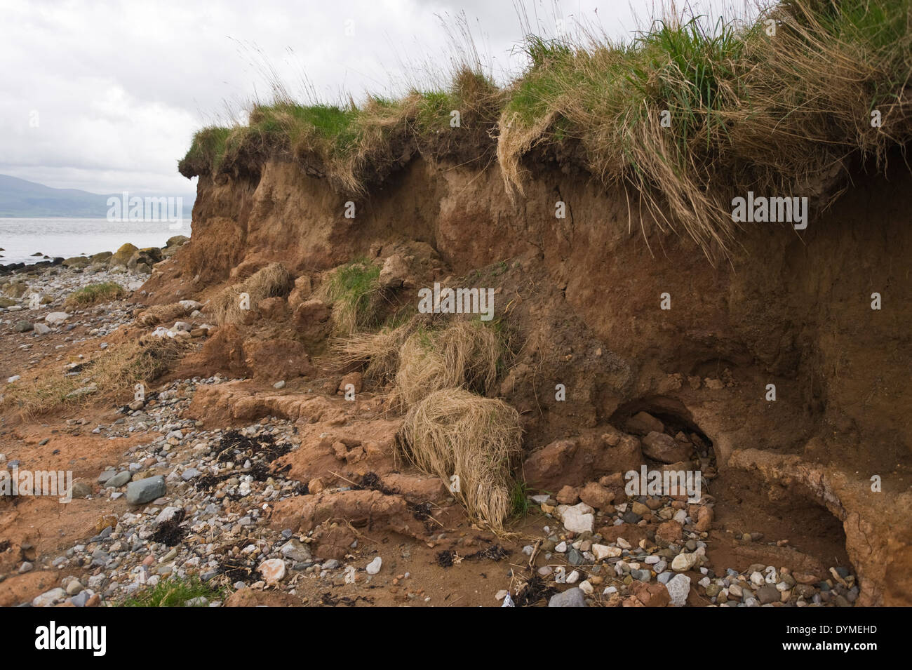 Coastal erosion at Penmon on Anglesey North Wales UK Stock Photo