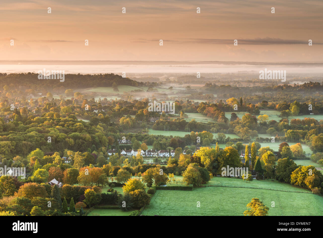 View of Surrey Hills from Colley Hill, Reigate, Surrey, UK Stock Photo