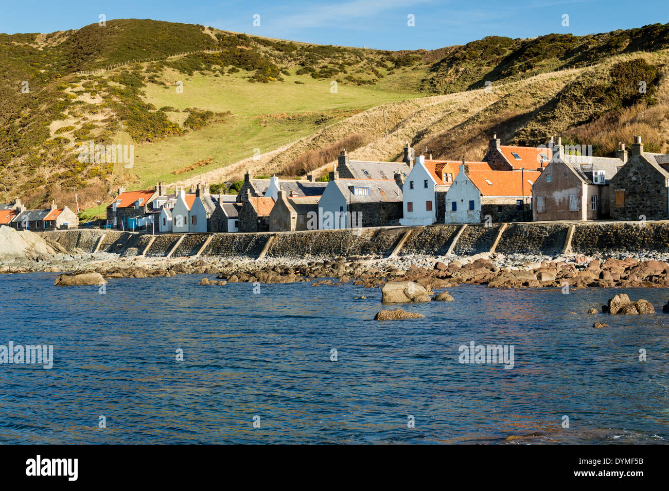 HOUSES OF CROVIE VILLAGE ABOVE THE SEA WALL ABERDEENSHIRE SCOTLAND