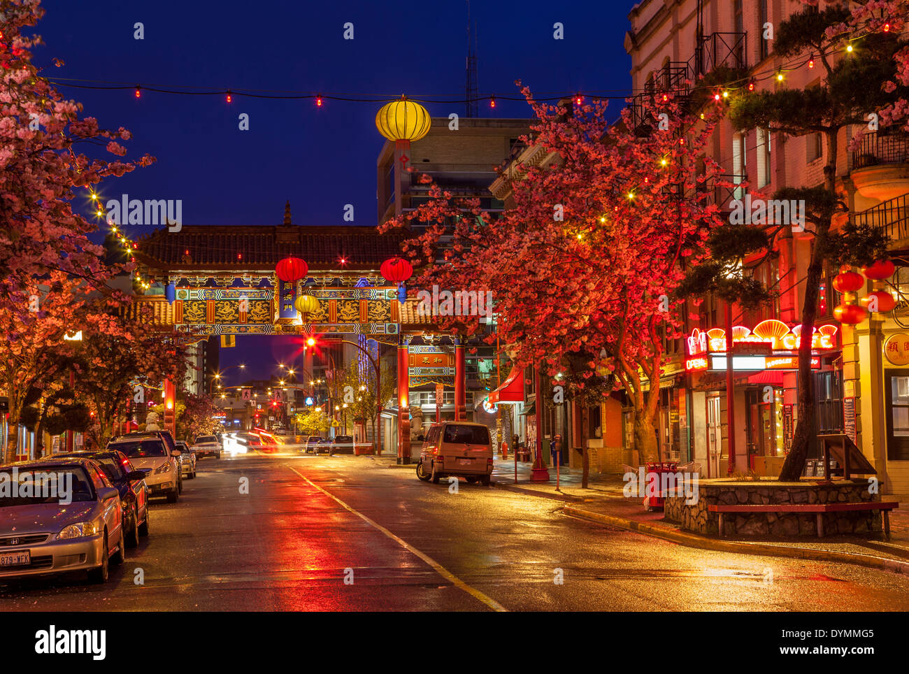 Fisgard street in Chinatown lit up at night-Victoria, British Columbia, Canada. Stock Photo