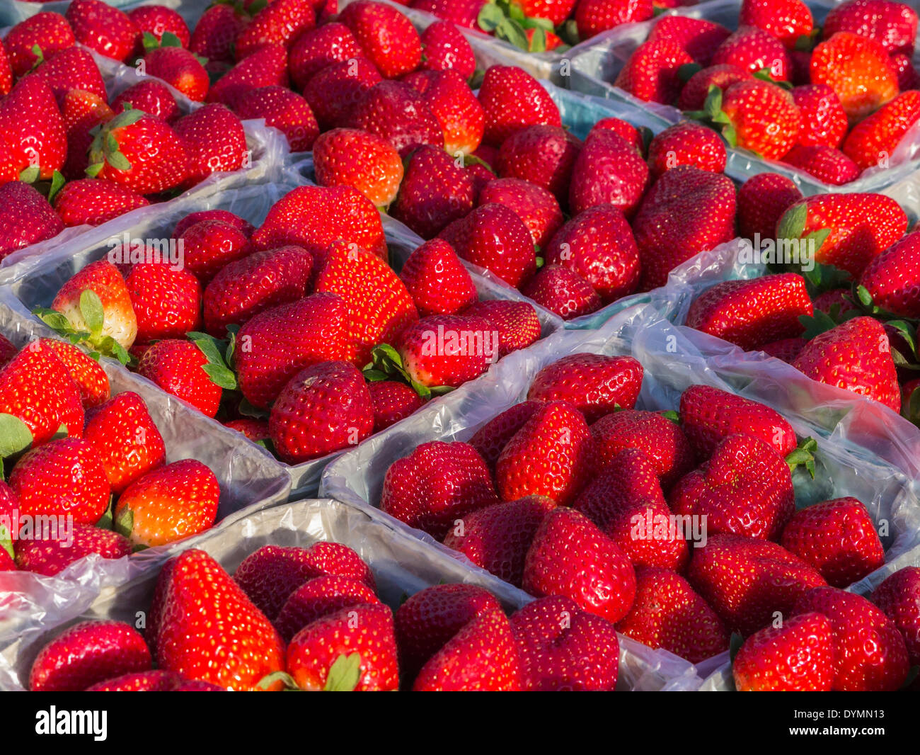 Ripe red strawberries in baskets at farmers market in Venice Florida Stock Photo