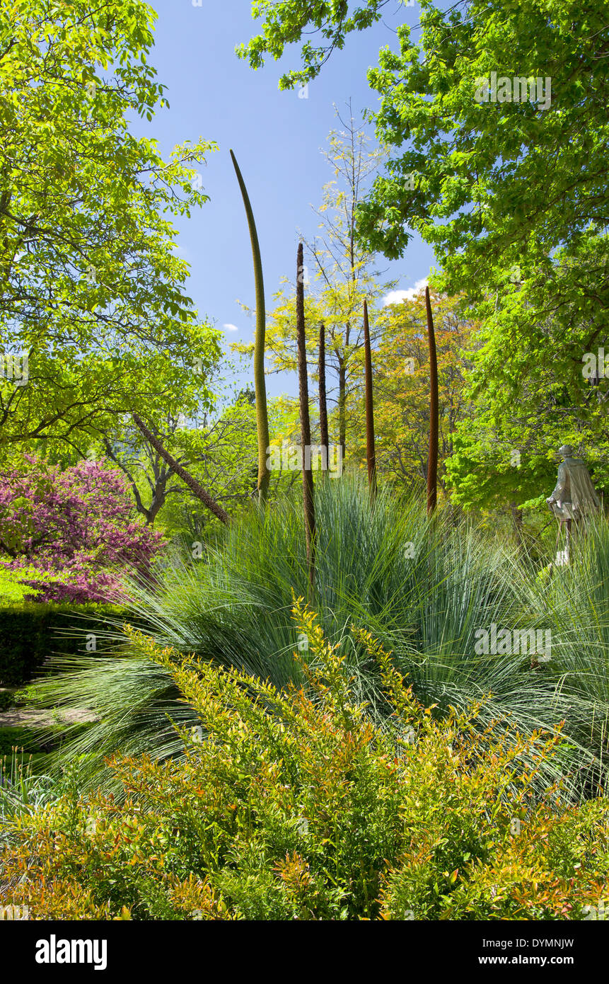 Various trees in green botanical hi-res stock photography and images ...
