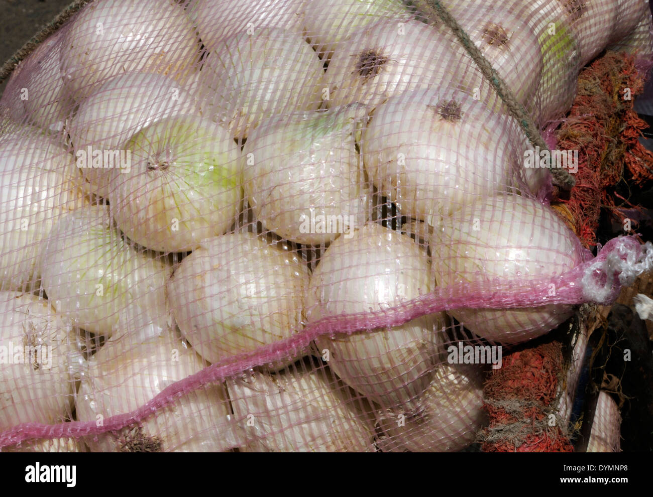 Onions for sale in the vegetable market in Almolonga. San Pedro de Almolonga, Republic of Guatemala. Stock Photo