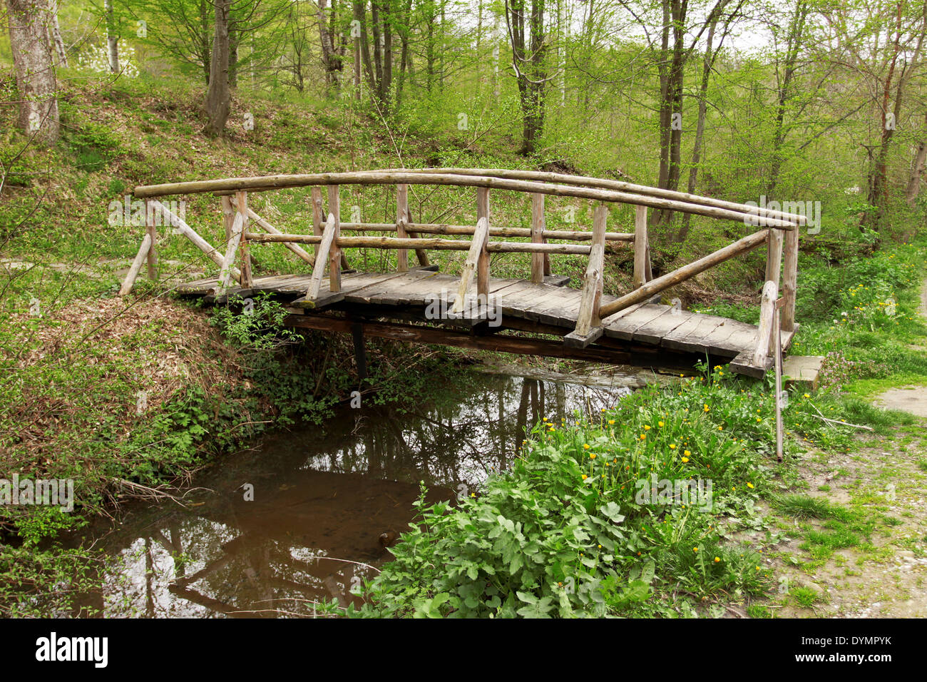 Wooden bridge in the forest Stock Photo - Alamy