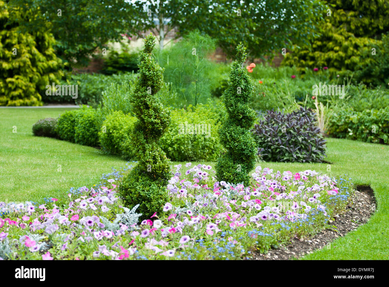 Spiral Topiary Stock Photo