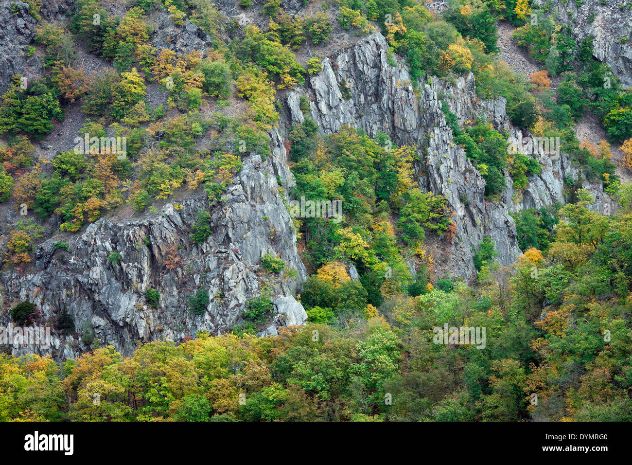 View over the Bodetal / Bode Valley in the Harz mountains, Thale, Saxony-Anhalt, Germany Stock Photo