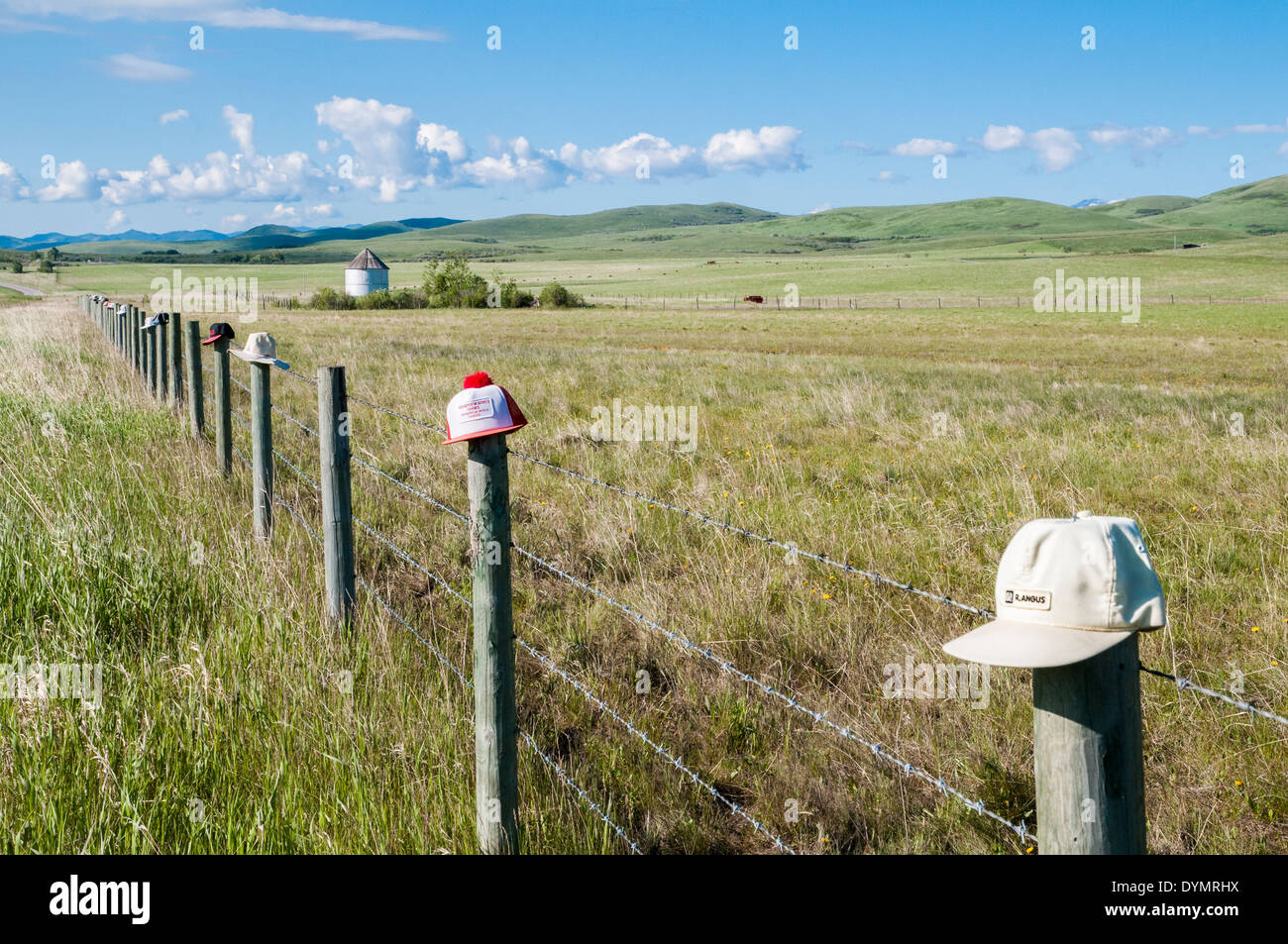 hats on post