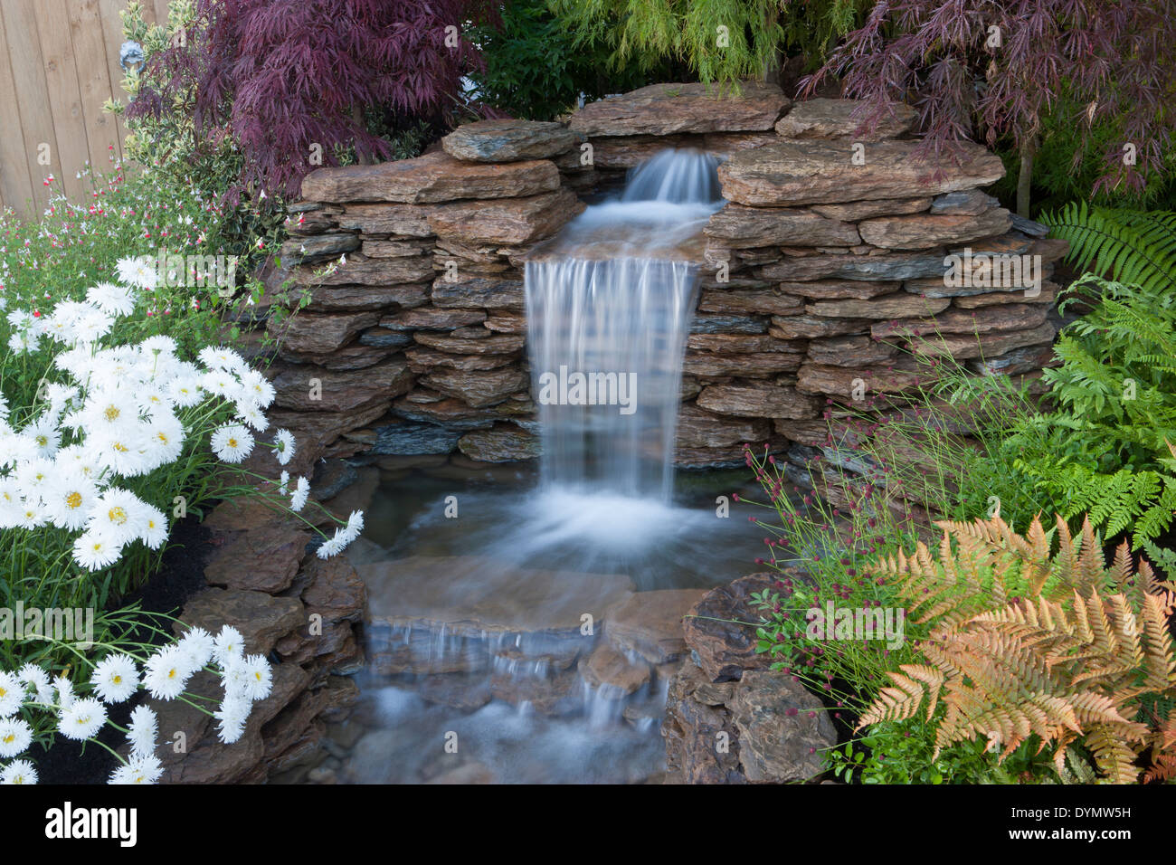 garden with a waterfall water feature small pond dry stone wall rockery waterfalls in a garden gardening acer trees acers ferns UK Stock Photo