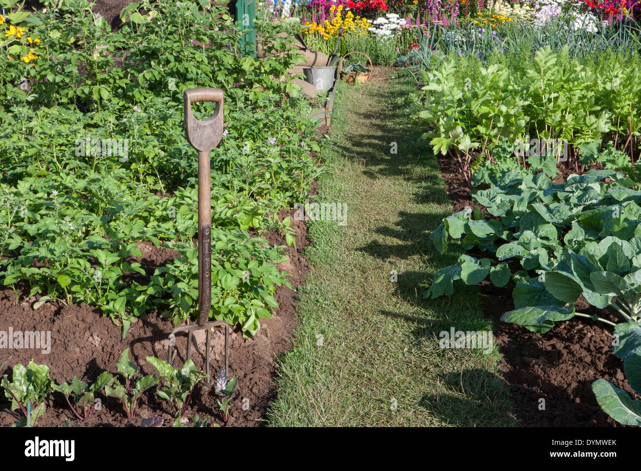 Fork vegetable bed hires stock photography and images Alamy