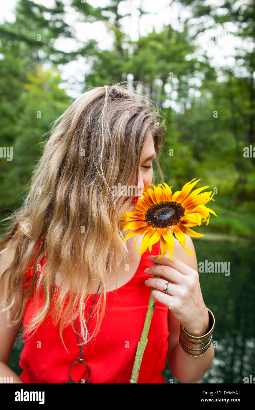 Woman smelling sunflower hires stock photography and images Alamy