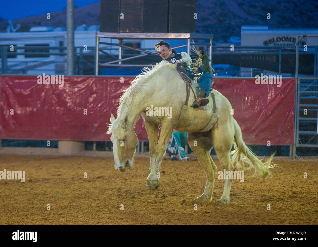 Cowboy Participating in a Bucking Horse Competition at the Clark County