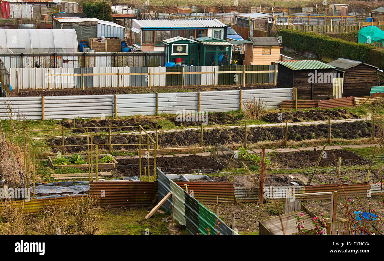 Gardeners allotment plots ready for cultivation of gardners homegrown vegetables and flowers Stock Photo
