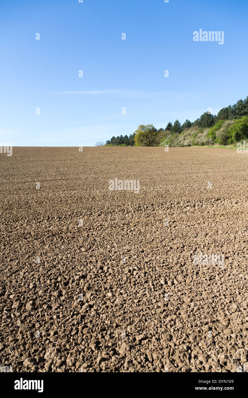 Tilled earth hires stock photography and images Alamy