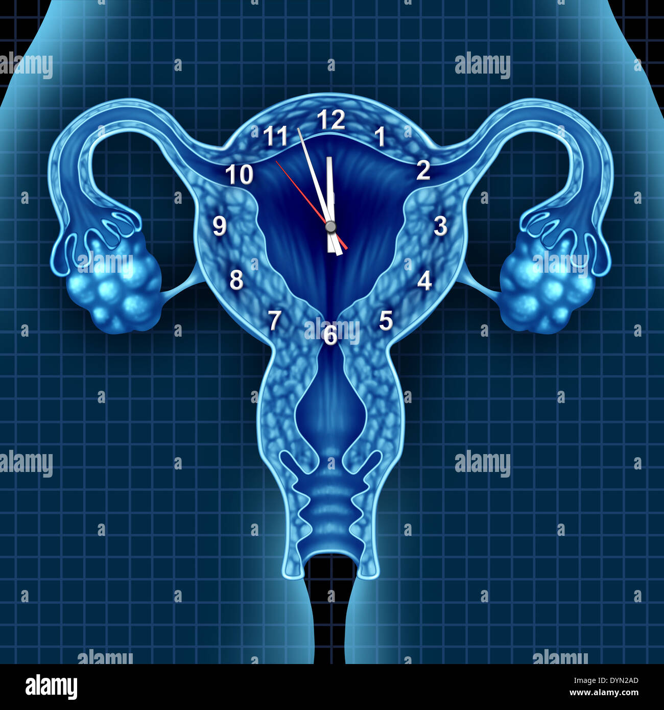 Biological clock ticking concept with a time piece over human uterus