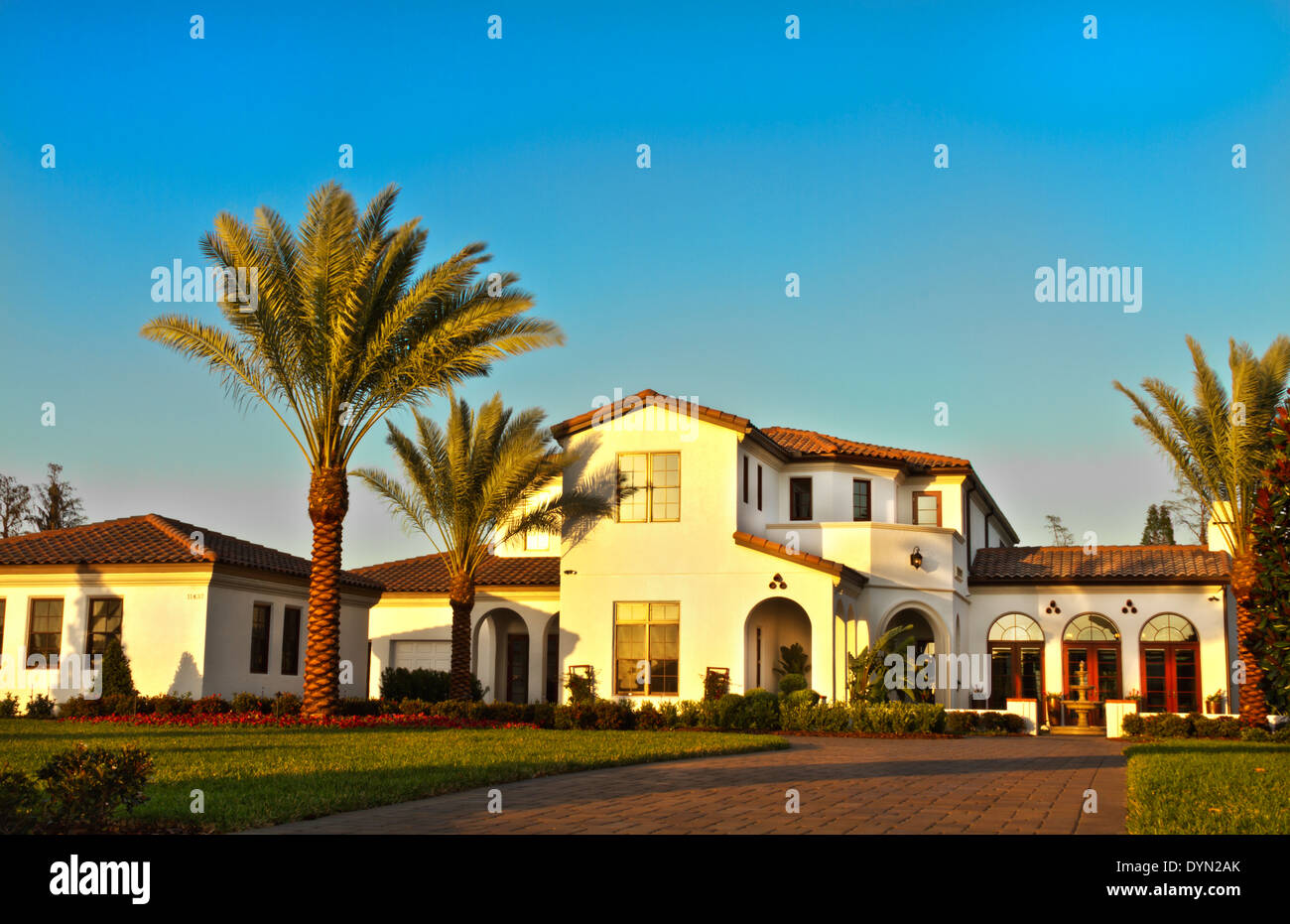 Luxury home with palm trees in Windermere, Florida Stock Photo Alamy
