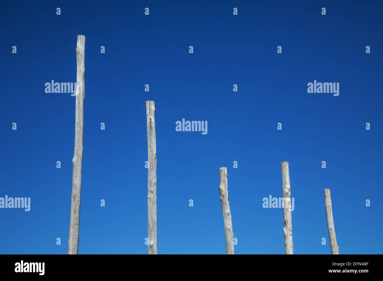 A series of timber poles against a blue sky that resembles a graph Stock Photo