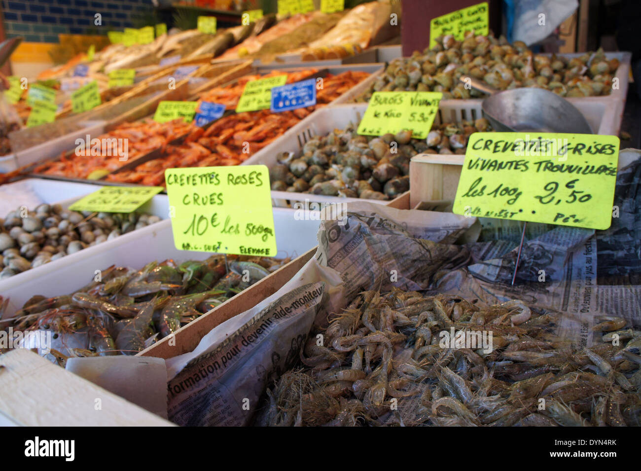 shrimp for sale at seafood market (marche aux poissons) in normandy, france Stock Photo